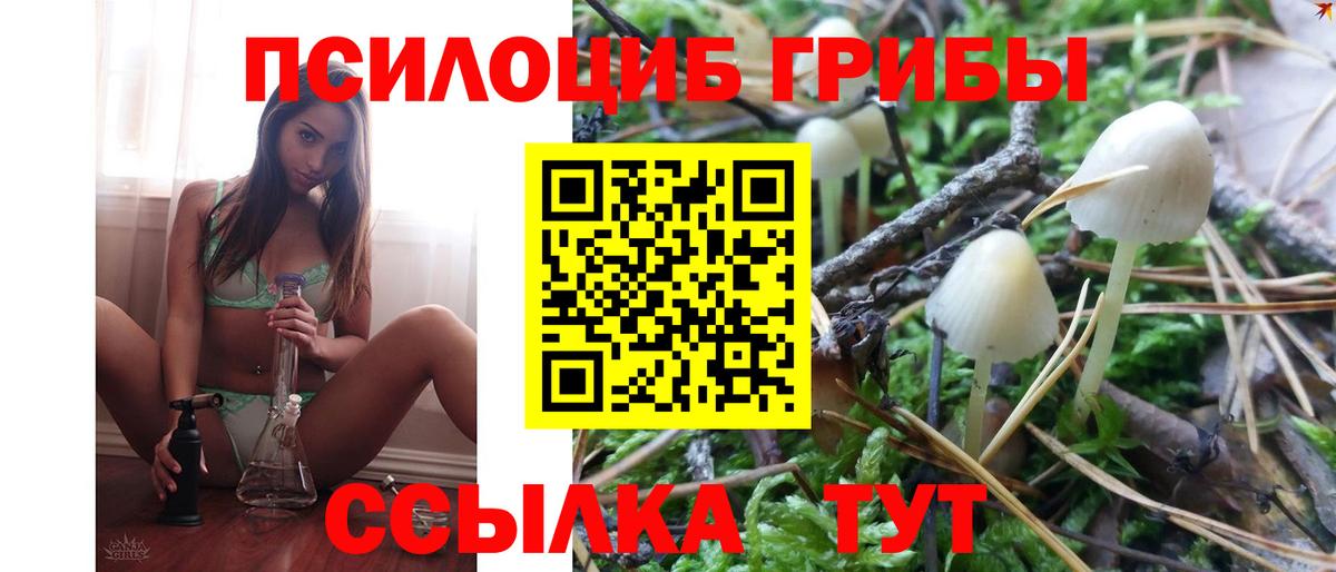 Псилоцибиновые грибы Psilocybine cubensis Владикавказ