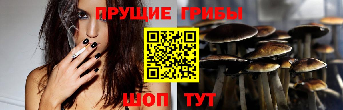Псилоцибиновые грибы мицелий  Псилоцибиновые грибы GOLDEN TEACHER  Вход с VPN  Владикавказ 